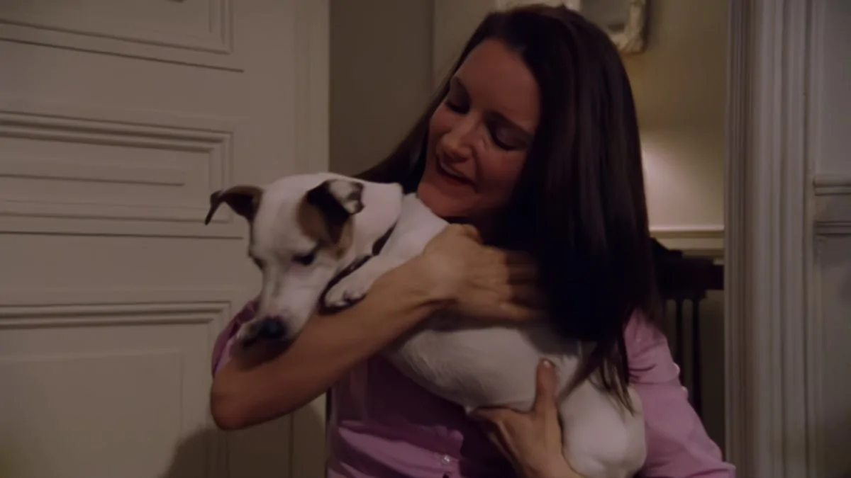 Фото галереи #3