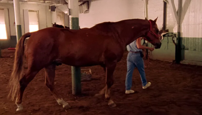 Момент из 18 серии 2 сезона